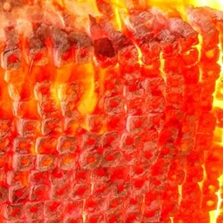 زغال پالونیا هیبرید ذغال چوب پالونیا هیبرید 